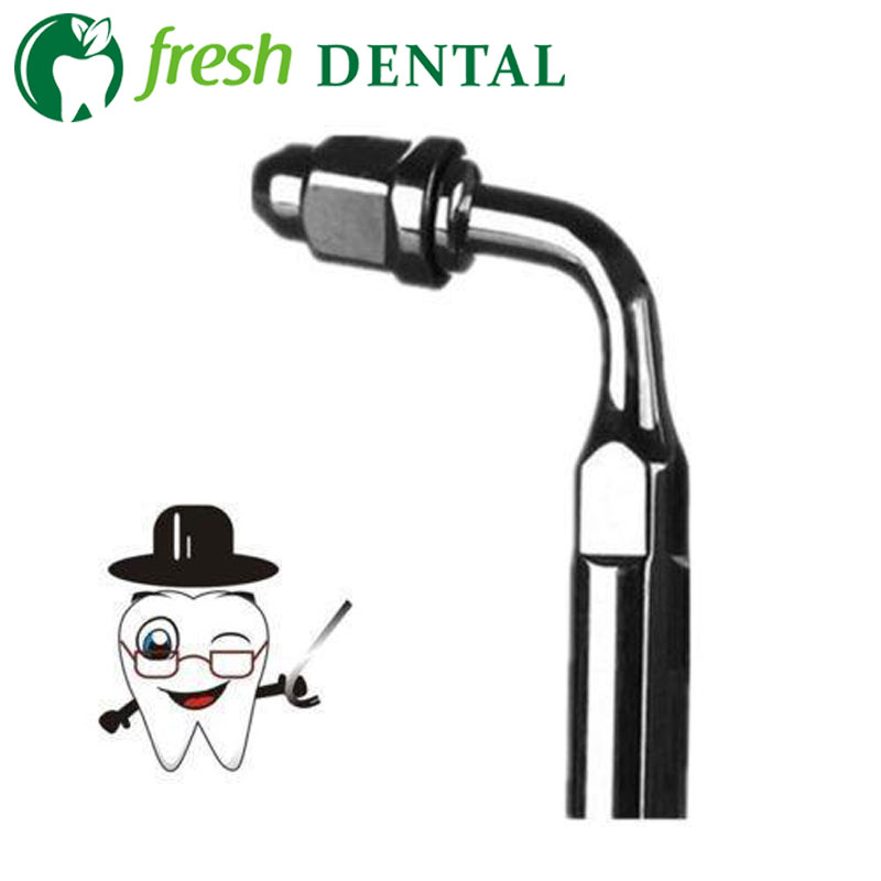 10PCS E2 Tips 95 Angle DENTAL  - đánh giá và giá Dental Scaler Ultrasonic
