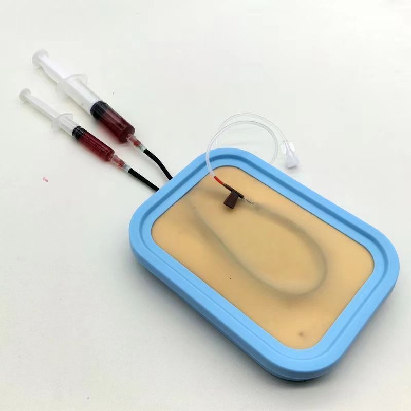 Venipuncture Training Kit Sili - đánh giá và giá Blood Collection Tube