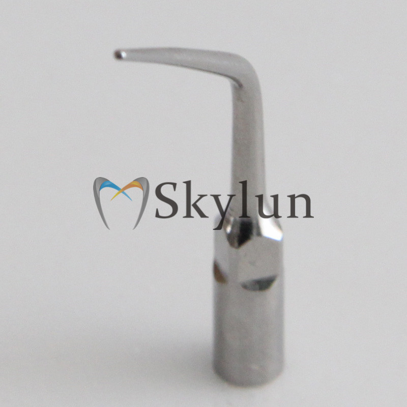 5PCS Dental Ultrasonic Scaler  - đánh giá và giá Dental Scaler Ultrasonic