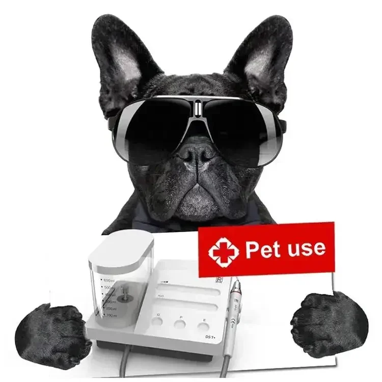 2025 LED Handpiece Pet Hospita - đánh giá và giá Dental Scaler Ultrasonic