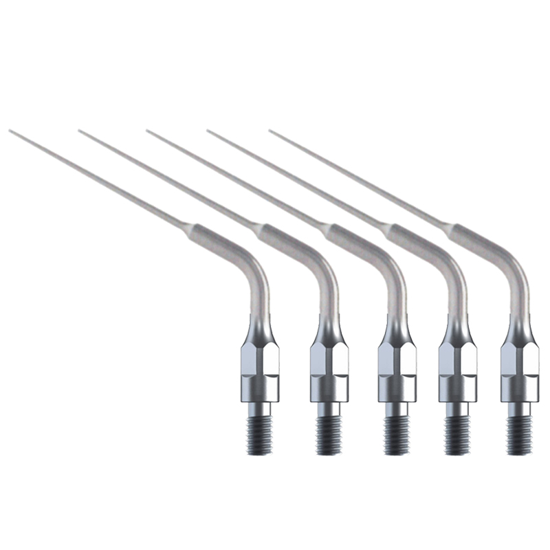 5PCS Dental Endodontics Ultras - đánh giá và giá Dental Scaler Ultrasonic