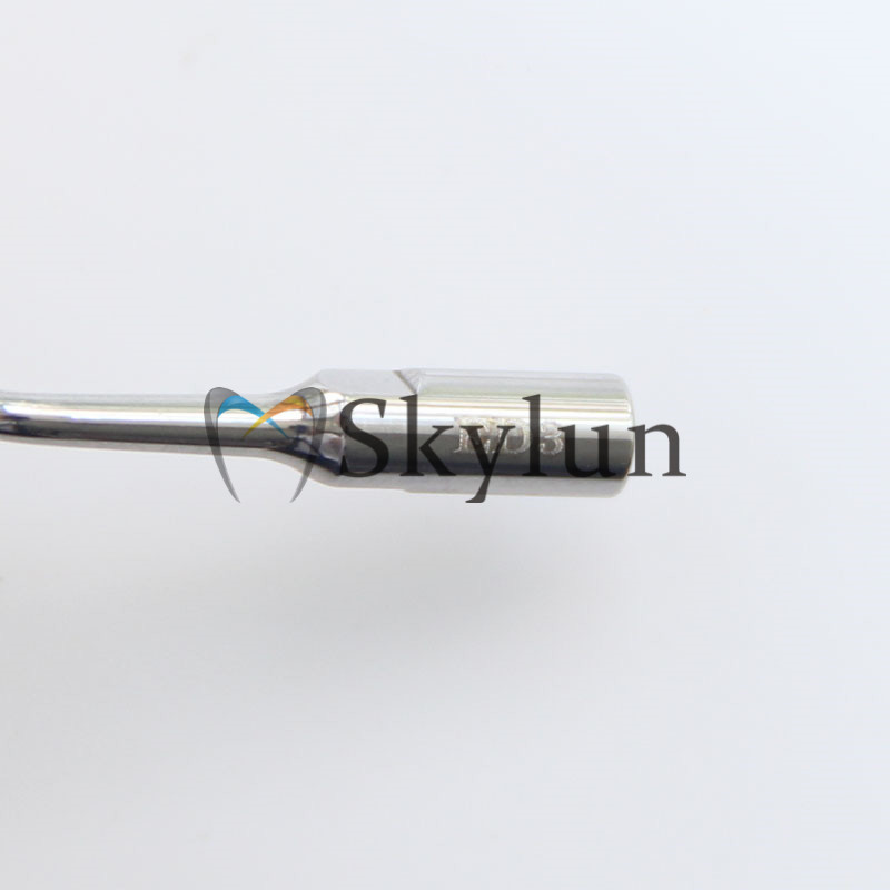 5PCS Dental Ultrasonic Scaler  - đánh giá và giá Dental Scaler Ultrasonic